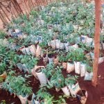 WhatsApp Image 2026 02 02 At 6.38.20 PM 1 1 150x150