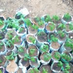 WhatsApp Image 2026 02 02 At 6.38.21 PM 3 150x150