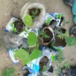 WhatsApp Image 2026 02 02 At 7.06.46 PM 1 150x150